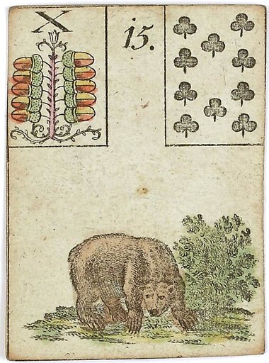 곰