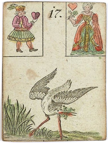 황새
